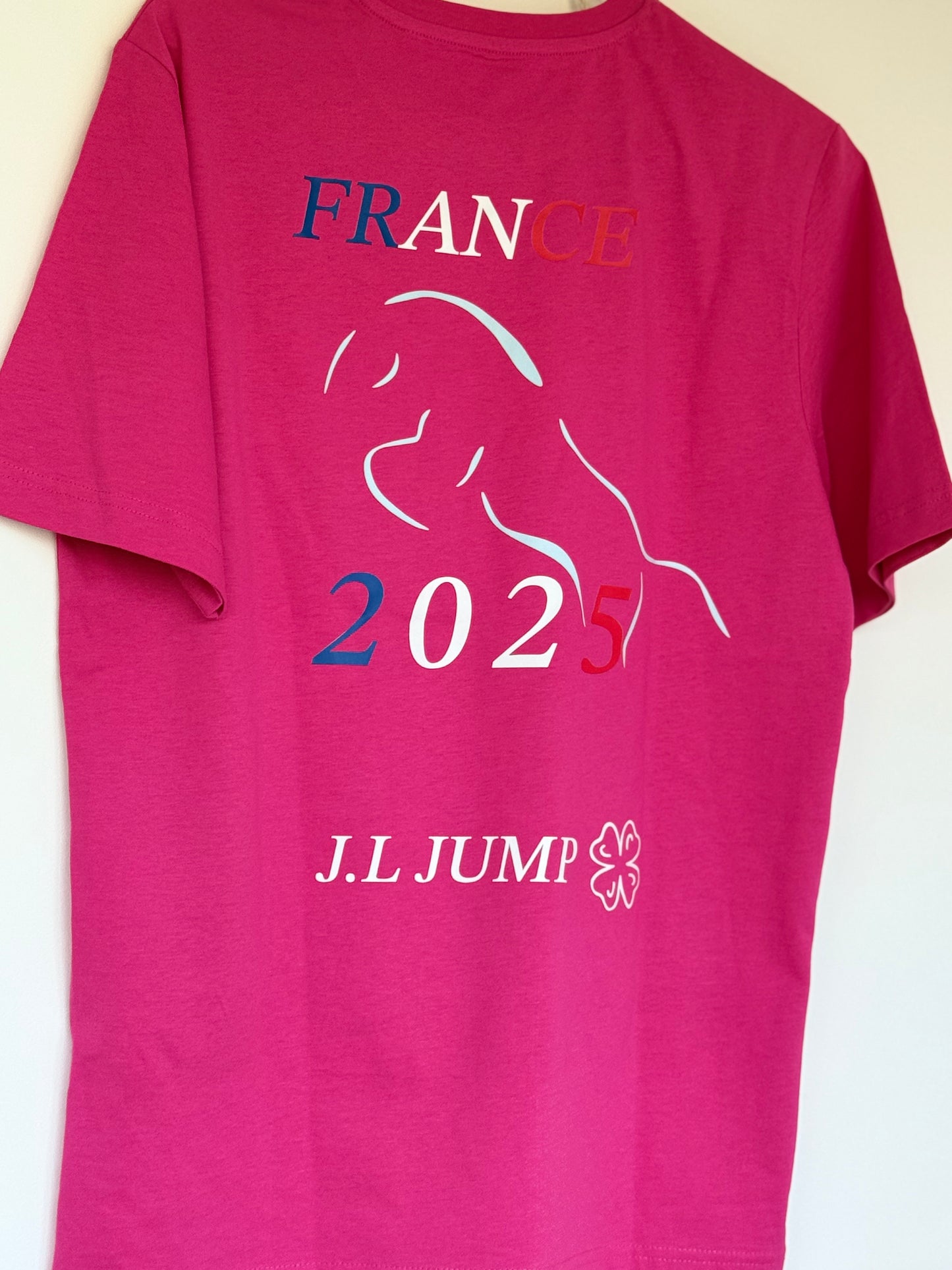T-shirt collection capsule